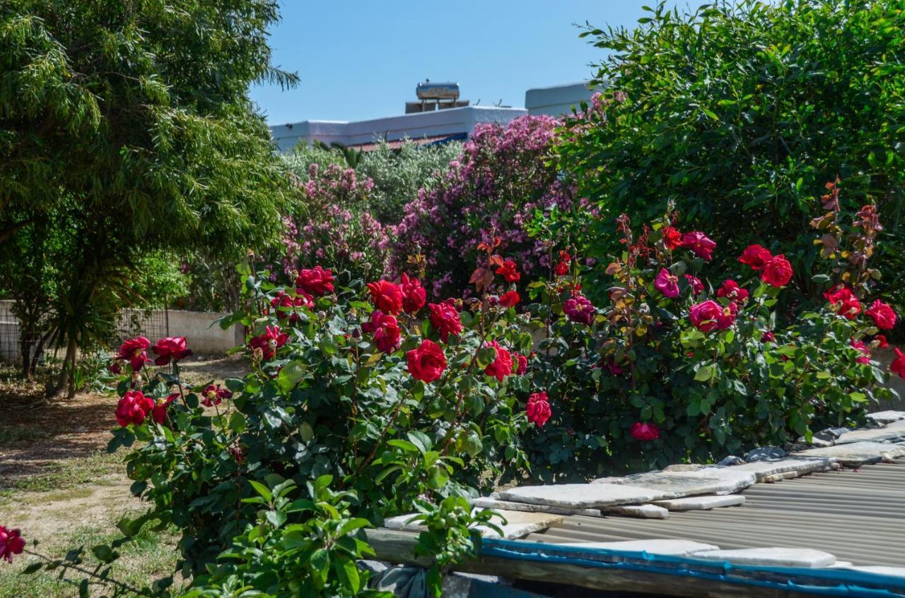 Golden Beach Glyfada Apartments Kastrákion エクステリア 写真